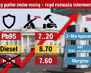 Szczyt klimatyczny ONZ: historyczne porozumienie zmienia przyszłość planety